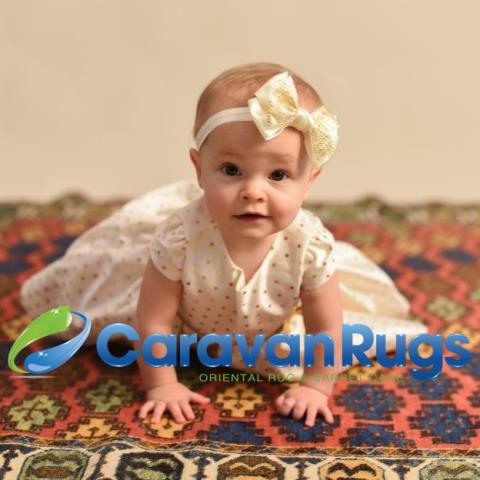 carpet cleaning, rug cleaning, area rug cleaning, rug, steam cleaning, persian rug cleaning, oriental rug cleaning, karastan rug cleaning, raleigh rug cleaning, cary rug cleaning, chapel hill rug cleaning, durham rug cleaning, rug repair, rug restoration, rug pad, rug washing, caravan rugs, caravan rugs cleaning, water damage, mold, rug mold, 