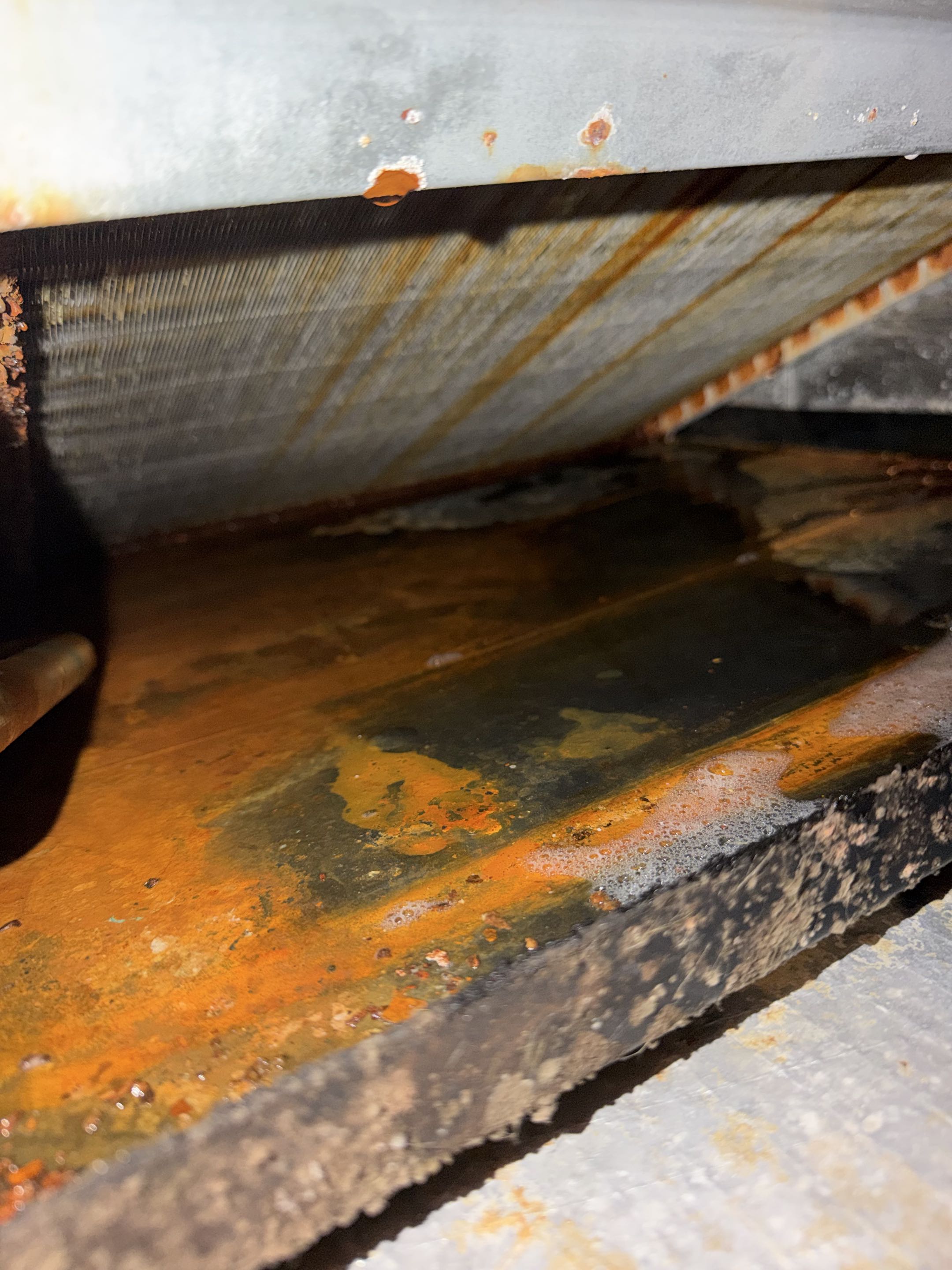 Completed a full service visit at a one of our new members. 
Checked all electrical and mechanical components of the ssysem. System is working properly. We just find the evaporator coil metals are getting rusty. It is not causing any issues at the moment but I can make the coil leak in the future. Also found some bacterial growth on the system. Explain to the customer how we can eliminate that and recommend to him a IV system cleaner. 

