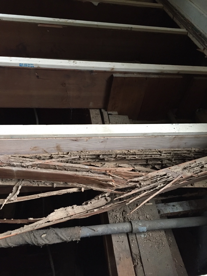 Grand Rapids, MI - Termite inspection. Floor joists termite damage Grand Rapids, MI - Termite inspection. Floor joists termite damage