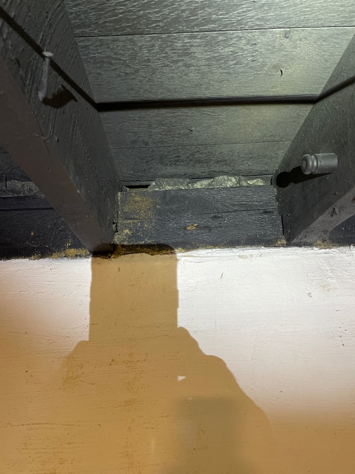 Grand Rapids, MI - Carpenter ant treatment, saw dust in the basement. Carpenter ants chewing a beam. Grand Rapids, MI - Carpenter ant treatment, saw dust in the basement. Carpenter ants chewing a beam.