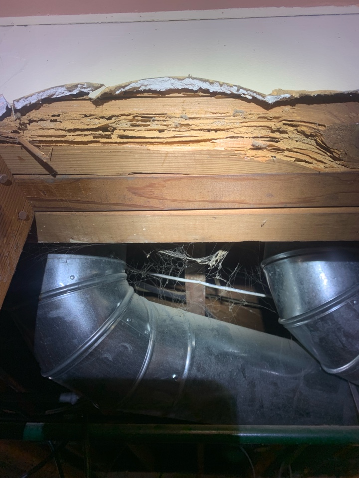 Grand Rapids, MI - Found termite damage on this house I just inspected. Grand Rapids, MI - Found termite damage on this house I just inspected.