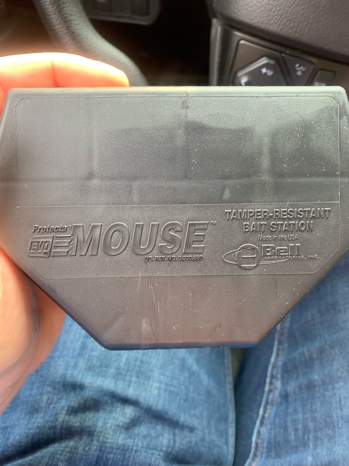 Grand Rapids, MI - Solving mouse problems this morning Grand Rapids, MI - Solving mouse problems this morning