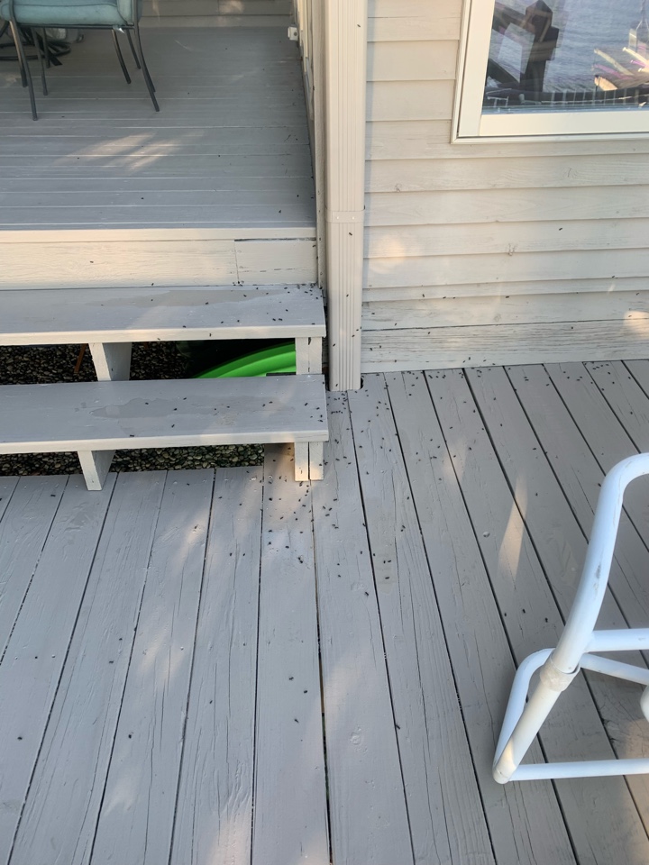 Grand Rapids, MI - Just solved a big carpenter ant problem on this house this morning. Grand Rapids, MI - Just solved a big carpenter ant problem on this house this morning.