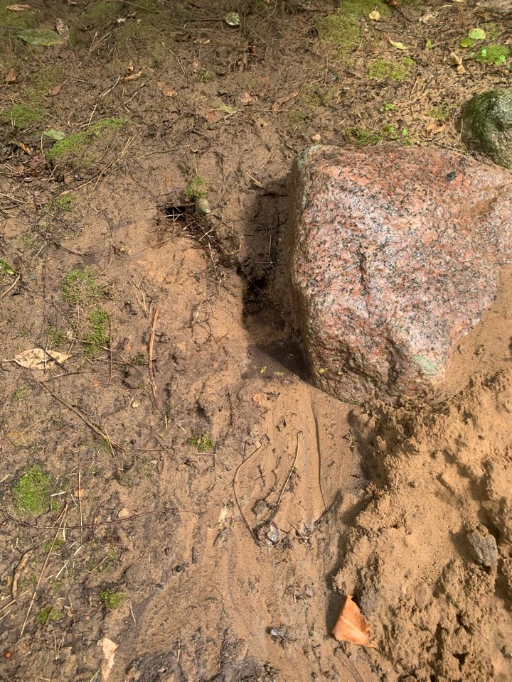 Grand Rapids, MI - Just took care of this large ground bees nest this evening. Grand Rapids, MI - Just took care of this large ground bees nest this evening.