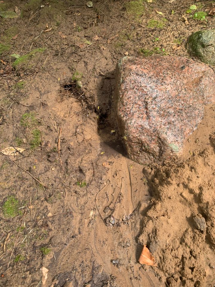 Grand Rapids, MI - Just treated a huge ground bees nest for a customer. Grand Rapids, MI - Just treated a huge ground bees nest for a customer.