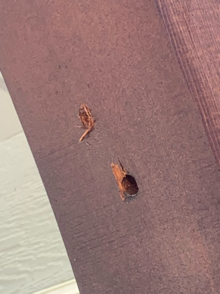 Rockford, MI - Taking care of carpenter bees at this house right now. Our pest control services will take care of the problem guaranteed. Rockford, MI - Taking care of carpenter bees at this house right now. Our pest control services will take care of the problem guaranteed.
