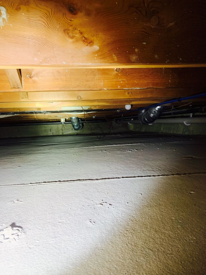 Grand Rapids, MI - Just did a wood destroying insect report for a home. I did a very thorough inspection like always. This house had 4 crawl spaces with limited clearance, but I still crawled and checked ever square foot looking for sign of wood destroying insects. Grand Rapids, MI - Just did a wood destroying insect report for a home. I did a very thorough inspection like always. This house had 4 crawl spaces with limited clearance, but I still crawled and checked ever square foot looking for sign of wood destroying insects.