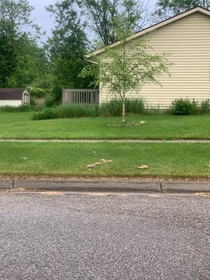Grand Rapids, MI - Spraying for ticks and mosquitos today. This customer found a tick on their dog and one of their kids, so they called us to take care of the issue. Grand Rapids, MI - Spraying for ticks and mosquitos today. This customer found a tick on their dog and one of their kids, so they called us to take care of the issue.