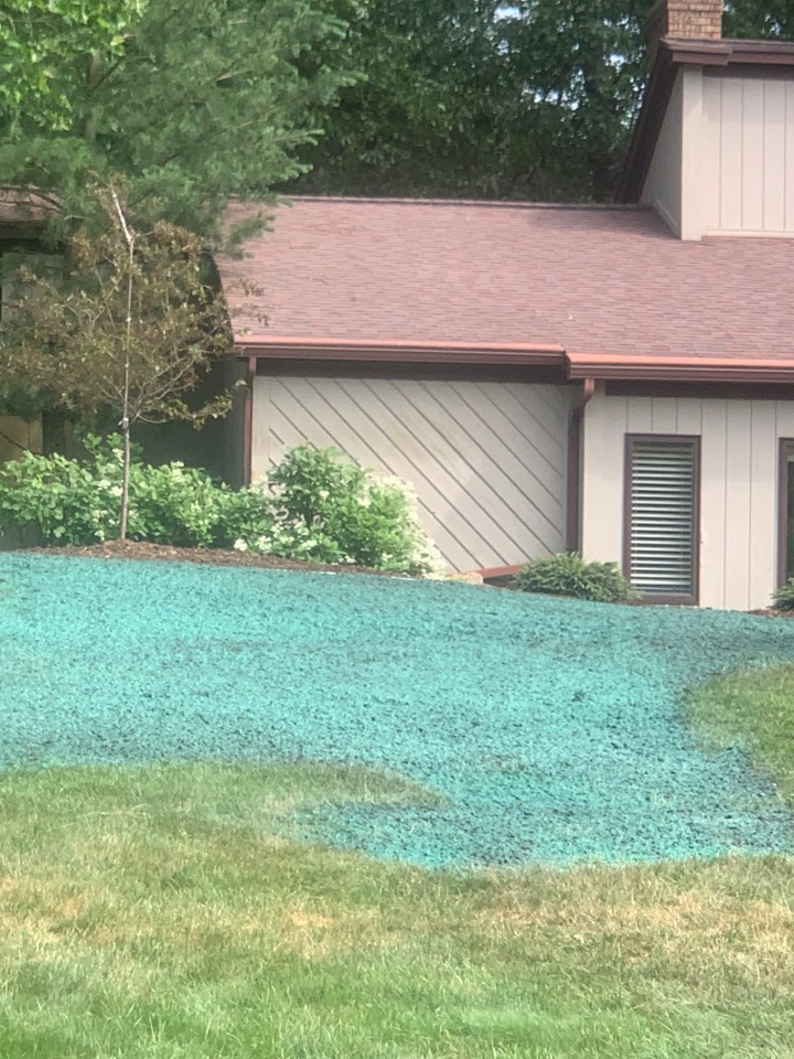 Grand Rapids, MI - Spraying for carpenter ants this afternoon. This house had a bad carpenter ant problem. Grand Rapids, MI - Spraying for carpenter ants this afternoon. This house had a bad carpenter ant problem.