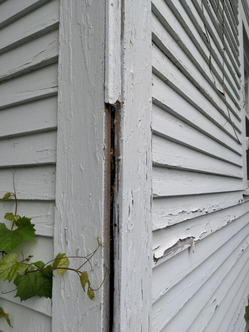Helping our customers, and the adjacent homes, with yellow jacket activity.