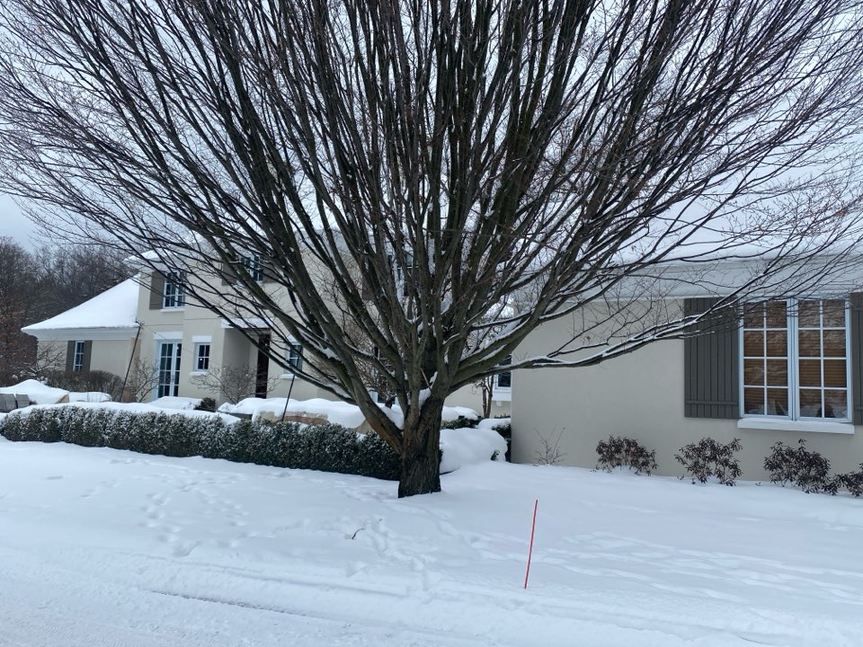 An estimate was given for a radon mitigation system to be installed 