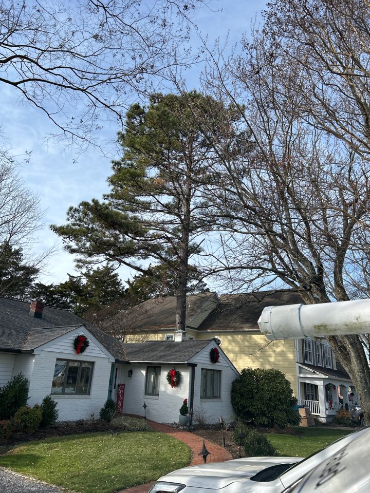 Carrier heating maintenance 