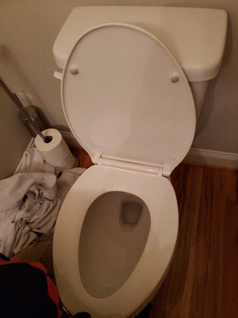 Toilet replacement 