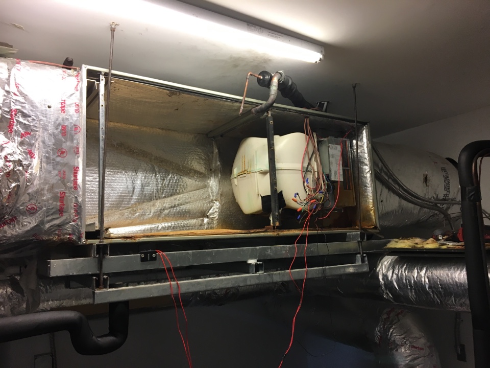 Replacing evaporator coil on a Trane split system for Oaklawn Cemetery Association.