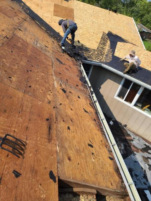 Yorkville, IL - 50 year shingles lifetime laminated shingles ridge venting
tear off roofing roof repairs gutters aluminum gutters Yorkville, IL - 50 year shingles lifetime laminated shingles ridge venting
tear off roofing roof repairs gutters aluminum gutters