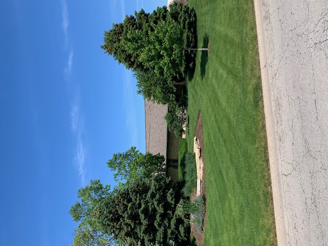 Oswego, IL - tear off lifetime shingles 50 year shingles roofers nearby aluminum fascia aluminum soffit
architectural shingles laminated shingles roof repair Oswego, IL - tear off lifetime shingles 50 year shingles roofers nearby aluminum fascia aluminum soffit
architectural shingles laminated shingles roof repair