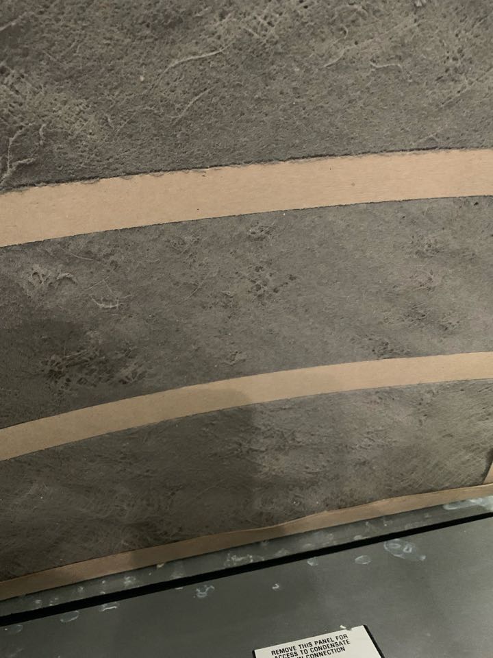 Dirty filter at indoor First Company air handler unit in Rockville Md. Custommer forgot to replace filter in past 7 months.  Outdoor heat pump is Rheem. 