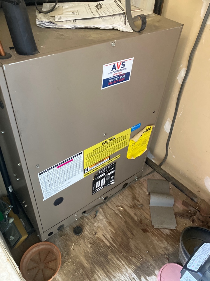 Used this company several times and I have good experience. 