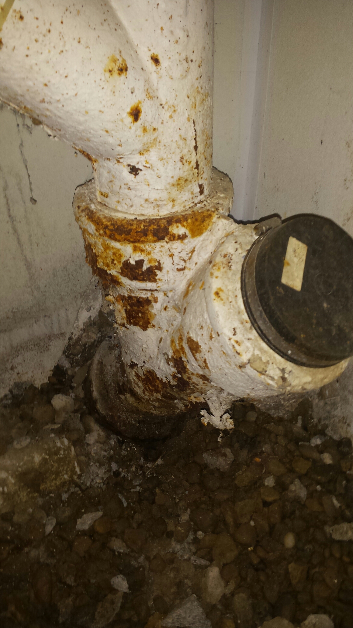 Plumber needed, repair sewer stack