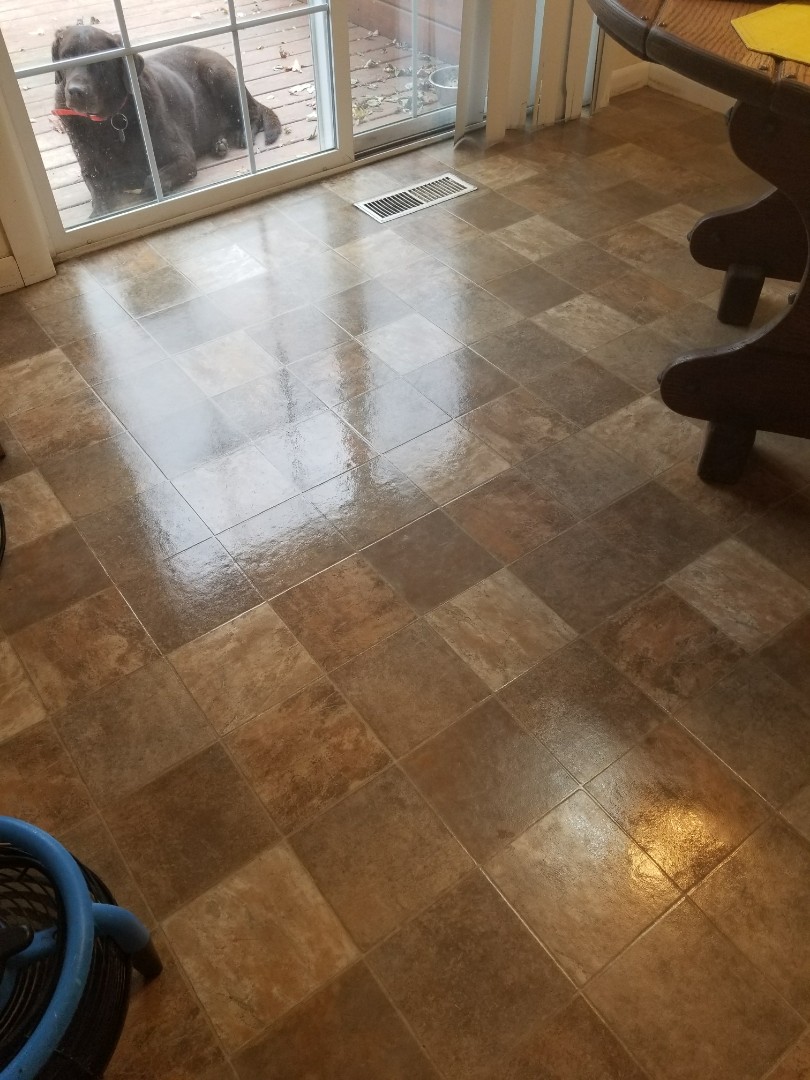 Linoleum floors in Morton,  Il.