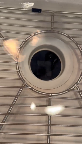 Austin, TX - Garbage disposal repair