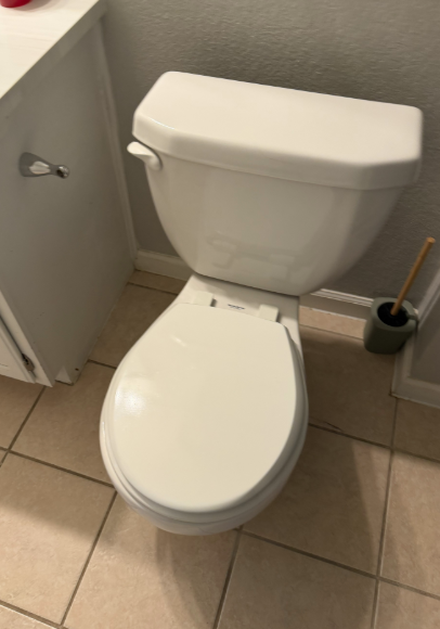 Austin, TX - Toilet inspection