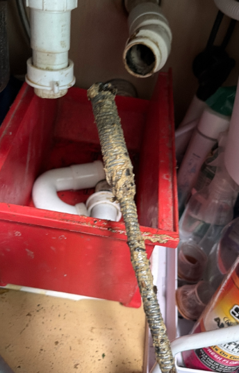 Austin, TX - Unclog sink drain