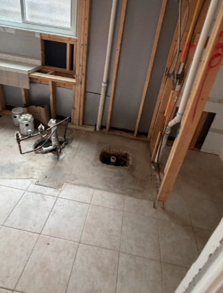Camera drain inspection