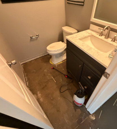 Camera drain inspection