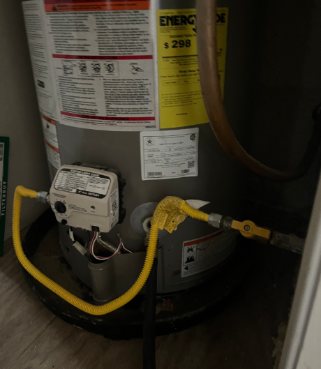 Water heater flush