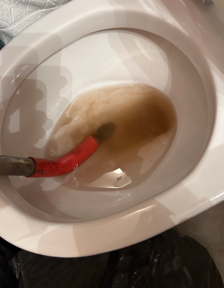 Toilet Auger