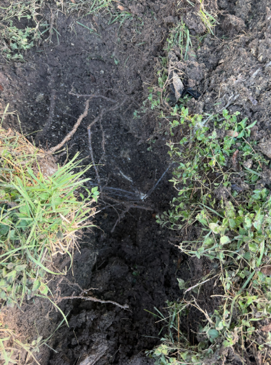 Replace pex piping after leak detection was done
