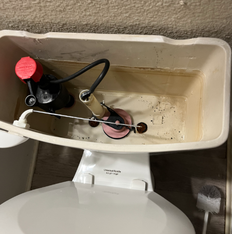 Round Rock, TX - Toilet diagnostics