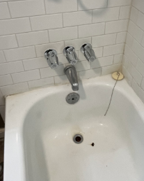 Round Rock, TX - Repair three handle kit