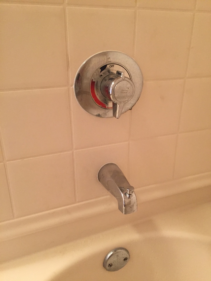 Shower valve cartridge and tub spout