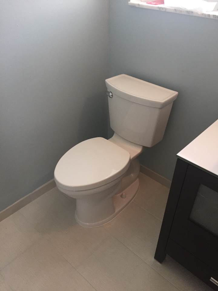 Install bathroom vanity and toilet