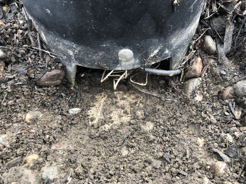 Electrician needed to replace photocell dusk to dawn sensor.