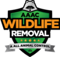 AAAC Wildlife Removal