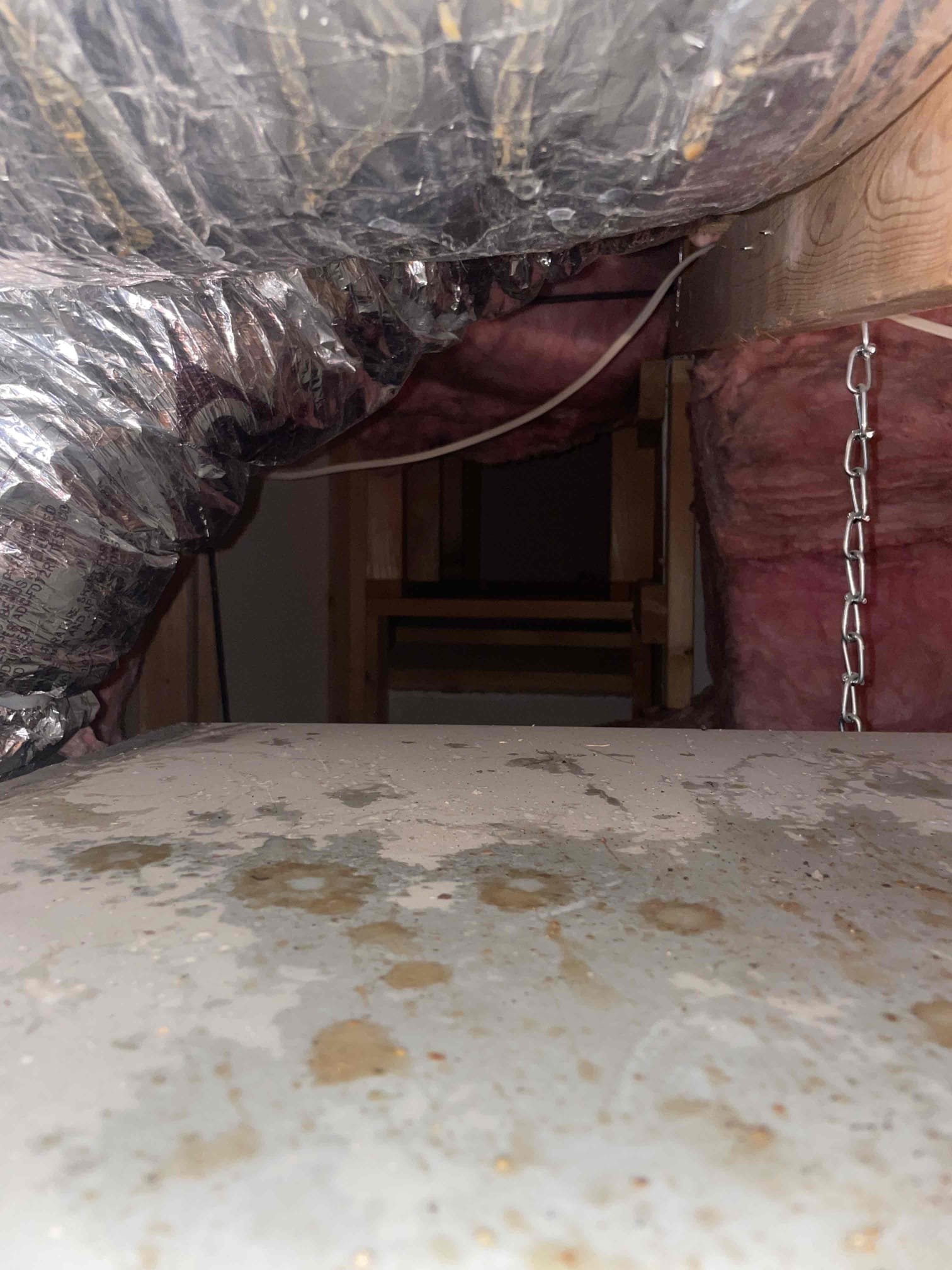 Platinum Cool Home Membership - 2 Systems
Includes two maintenance visits per year
Front of the line, priority service over everyone else, guaranteed service within 24 hours
Discounted $37 diagnostic fee (versus regular diagnostic fee of $97)
No weekend or after hour fees
100% of your protection plan goes toward your future system replacement (capped at $1,500)
10% Discount on any repair work needed
$200 Discount on Home Performance upgrades
https://www.idealairaz.com/flipbook/cool-home/?page=1

All Access Condensate Clear-out Device: No Switch
Allows clearing out a/c drain line in both directions
Use wet/vac to vacuum out line
Access to add drain line cleaners
Designed for HVAC systems that already have an internal float switch installed
Non Members: 90 day parts + labor warranty on all repairs
Cool home members: 2 year parts + labor warranty on all repairs

This visit qualifies the homeowner for a complimentary whole home insulation and duct inspection...normally, a $99 value, it is 
