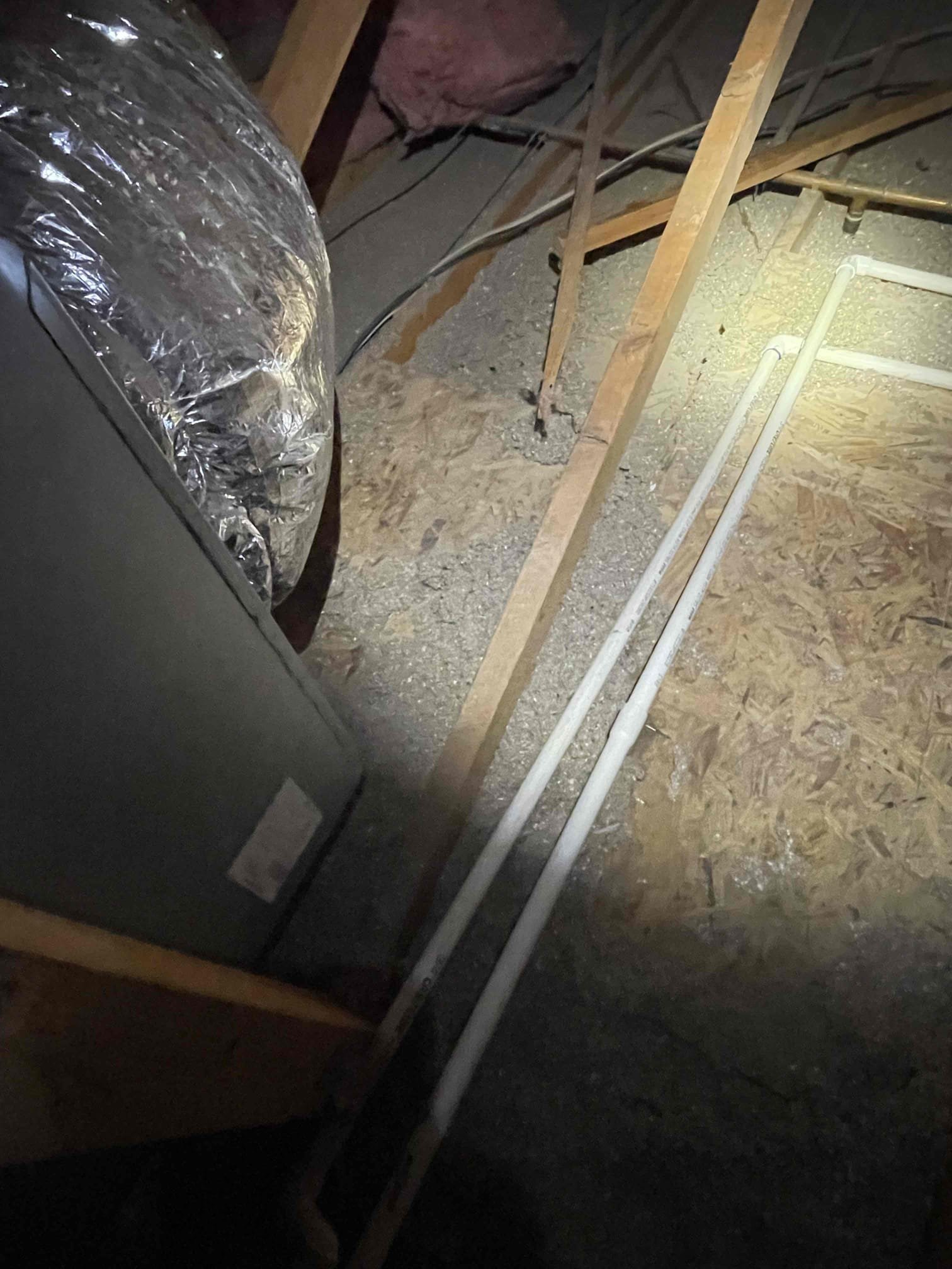 Internal inspection 