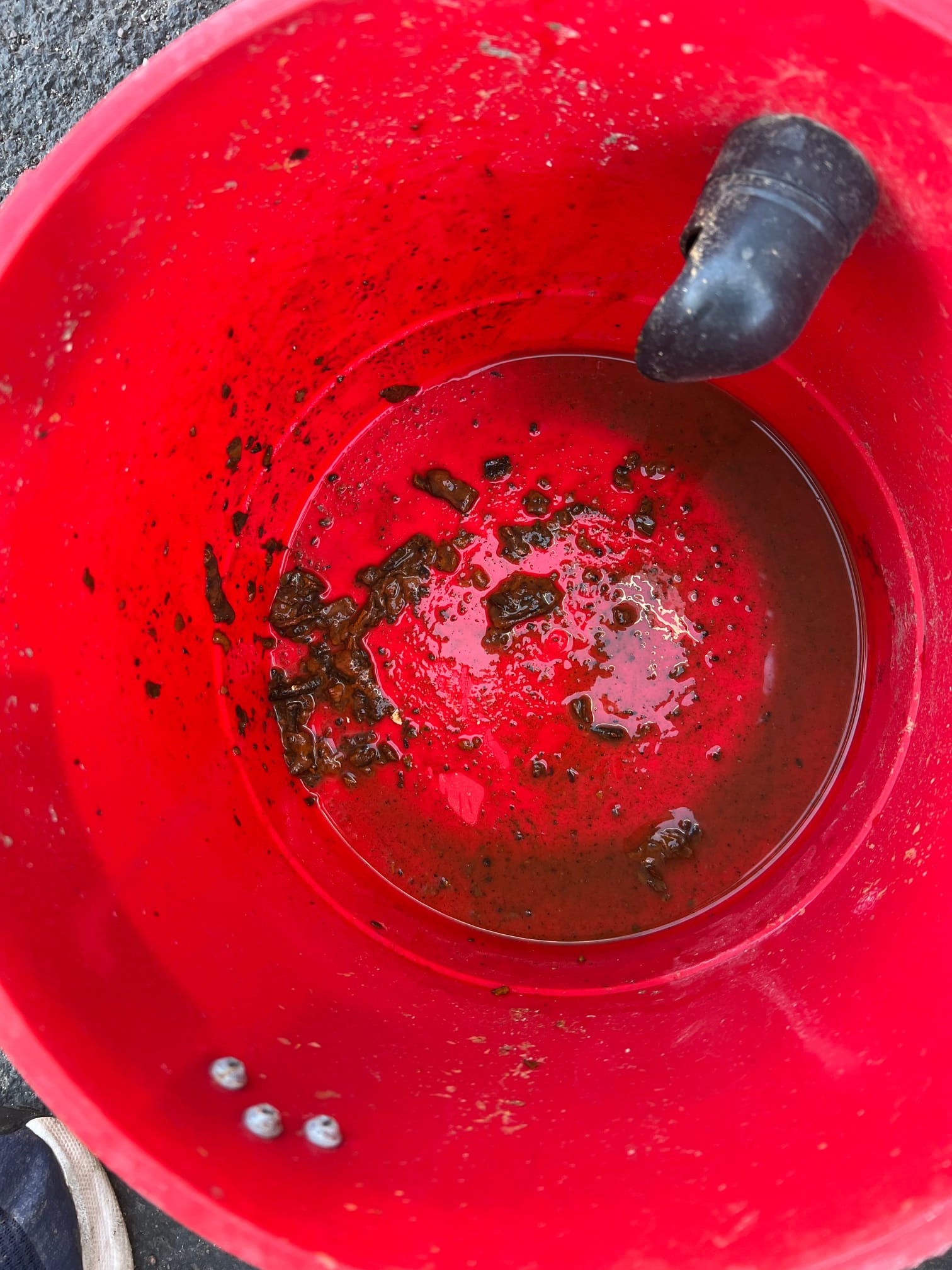 The unit has a dirty indoor coil from not using a filter. This was not something that could be visible on the previous visit due to the unit being a straight cool and had 2 inches of ice on the coil.
I cleaned the indoor coil. I scrubbed it with a brush and used a foaming no rinse spray that will continue to clean the coil until it’s been rinsed by condensation. It looked like the condensate drain was clogged so I cleared the condensate drain with a shop vac. The unit unit is producing a good temperature split