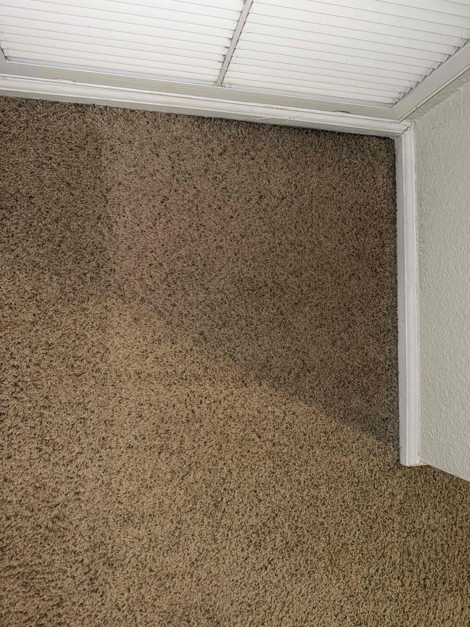 Call back to clean carpet. 