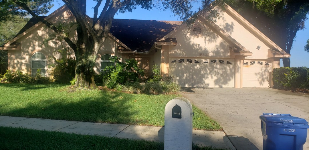 Shingle roof repair 