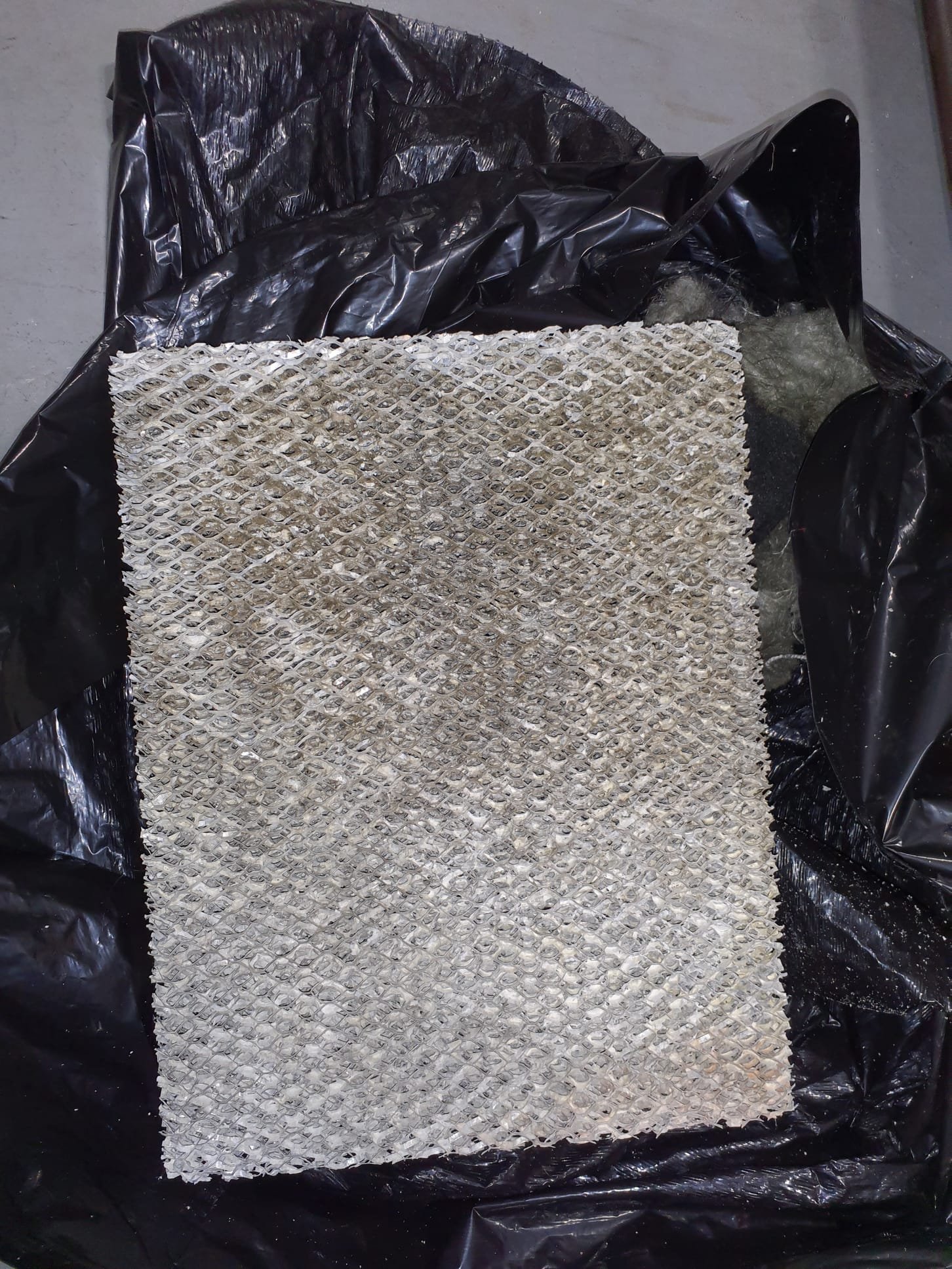 Maintenance recall 
Used evaporator coil cleaner to clean off growth 
Also used the cleaner to wet the duct insulation to prevent the growth going airborne
Removed the duct insulation
Humidifier water panel was in need of replacement 
Replaced with a new water panel already on site
Discussed options for UV light 
Decided to not install UV over the evaporator coil at this time 