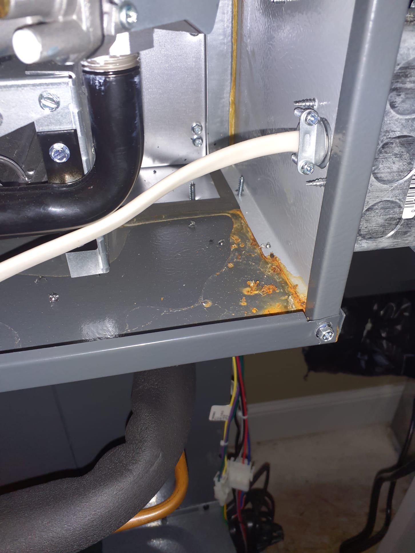 Performed heating maintenance on 7 Daikin gas furnaces, one Bryant electric air handler, two Reznor hanging unit heaters, and one Daikin mini split heat pump

Replaced all 7 aprilaire 210 filters, replaced HEPA filters and UV bulb for the master bedroom attic system
Ordering additional HEPA system maintenance kits and will return to replace all of those
In-law suite furnace shows signs of condensation forming in the furnace intake pipe... discussed with Joe about installing a drain fitting to prevent water damage
We will install this when we return for the HEPA maintenance 
Cleaned flame sensors on all furnaces
Tested humidifiers and verified no water leaks
Verified proper condensate drainage for all 96% efficient furnaces
All blower wheels are clean
Run tested all heating systems
Checked fault code histories
Garage heaters: inspected heat exchangers for cracks
Cleaned flame sensors
Tested operation