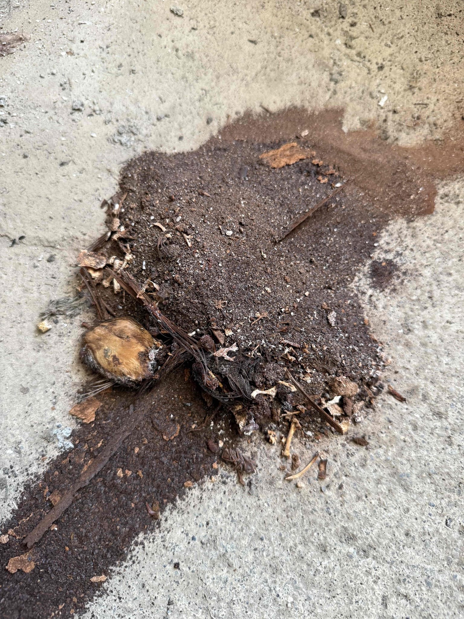 Unit is satisfying demand and not throwing any codes. 