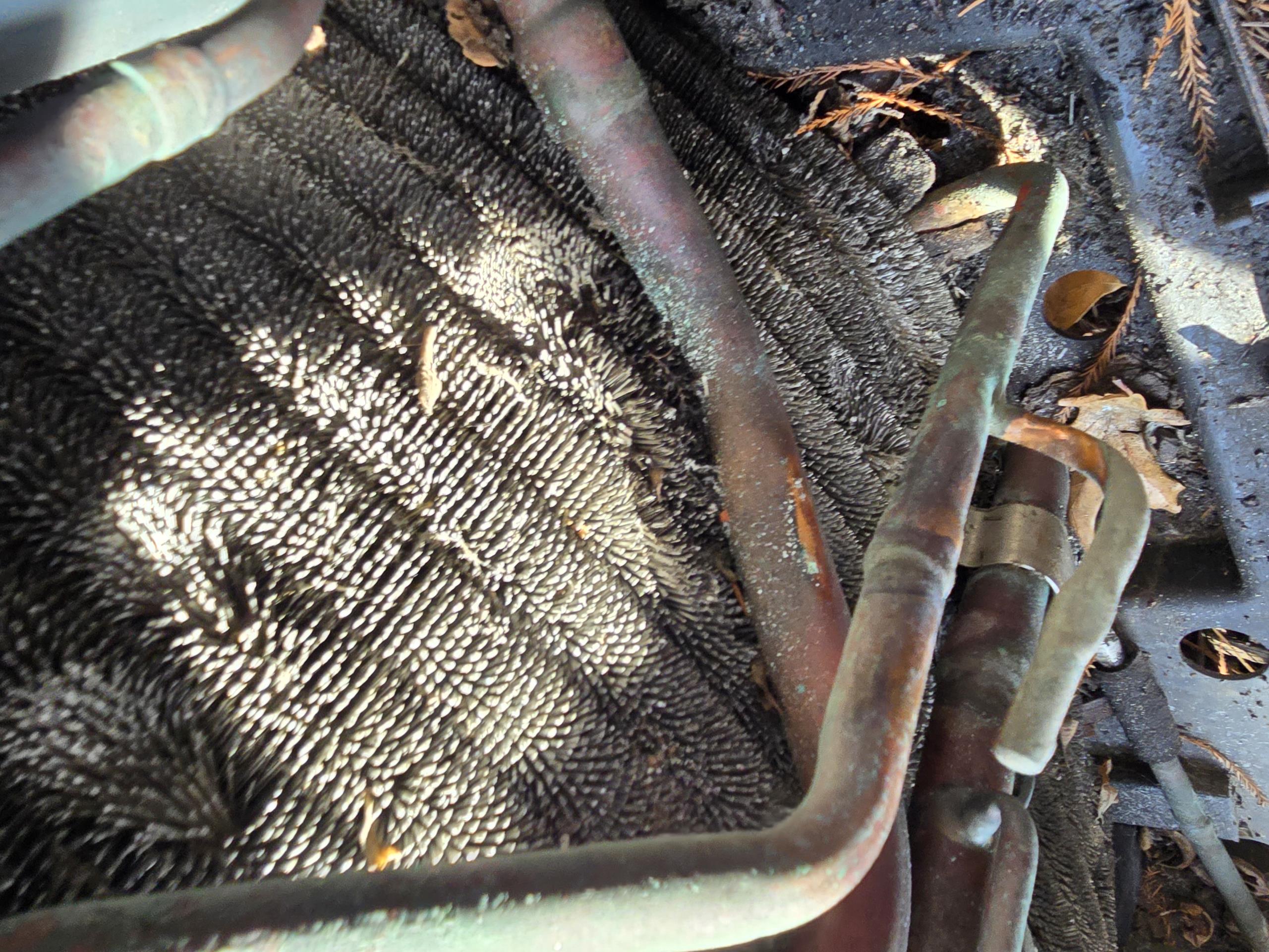 Upon arrival, thermostat is in auto mode at 68 for heating. Turned thermostat to 70 to initiate a heating test. Inspection of air handler shows that the blower is operating, and there is a call for compressor. Refrigerant not audibly flowing. 

Inspection of outdoor unit shows that nothing is operating. Call for compressor is present at Y wire and defrost board. Y call is present through high pressure switch but not low pressure switch. Checked system pressure and it is reading 5psi. Most likely leaked out to 0psi during colder weather, and pressure raised slightly during warmer weather. 

Perform leak search on the system in an attempt to locate the refrigerant leak. Refrigerant leak has been located on an aluminum coil assumed to be caused by vapor line vibrating on the aluminum coil and causing a leak. Trane is closed for the day. Trane will be contacted during business hours to get coil pricing and availability to build a repair quote. 