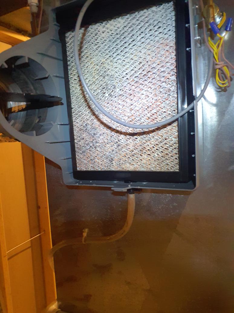 Collection of dead insects caught in an active spider web. Nothing abnormal in the humidifier. At Mr. Donnell's request, changed 20x25x4 filter and #35 water panel
Switched humidifier wiring (already wired to the visionpro stat) to go trough the HUM dry contacts on the board to be sure humidifier only operates during a heat call plus humidity call from the stat 