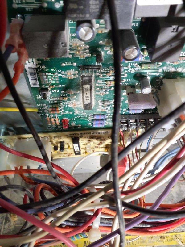 Performed Gold Heating Maintenance on one system, including inspection of the blower assembly and furnace control board. The blower wheel showed a heavy accumulation of dust and debris, which was noted for cleaning to restore proper airflow. The control board and wiring were inspected with no signs of burn marks, corrosion, or physical damage observed.