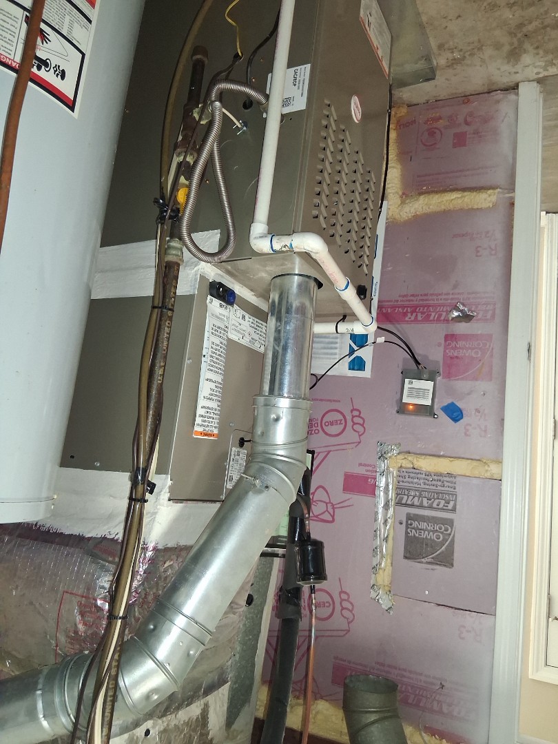 Thermostat replacement getting them ready for a cold winter 